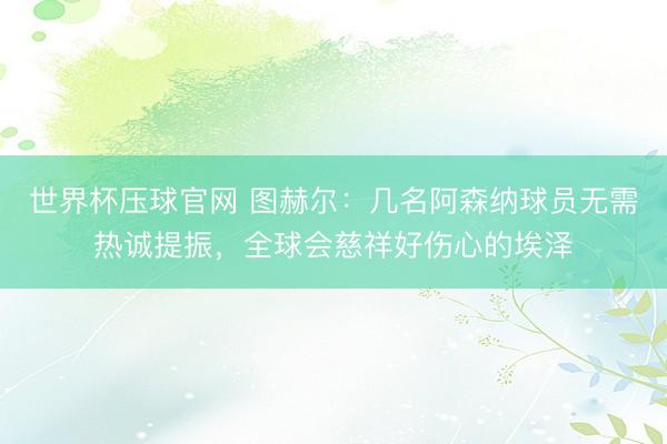 世界杯压球官网 图赫尔:几名阿森纳球员无需热诚提振,全球会慈祥好伤心的埃泽