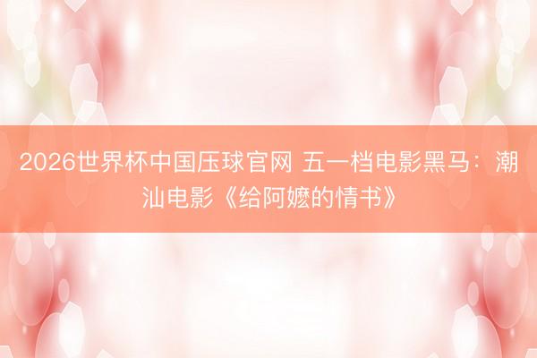 2026世界杯中国压球官网 五一档电影黑马：潮汕电影《给阿嬷的情书》