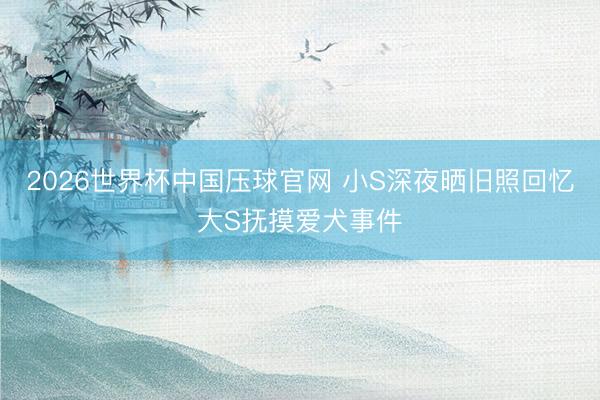 2026世界杯中国压球官网 小S深夜晒旧照回忆大S抚摸爱犬事件