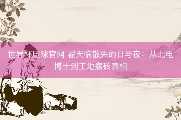 世界杯压球官网 翟天临散失的日与夜：从北电博士到工地搬砖真相