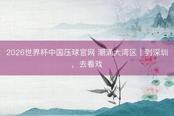 2026世界杯中国压球官网 潮涌大湾区丨到深圳，去看戏