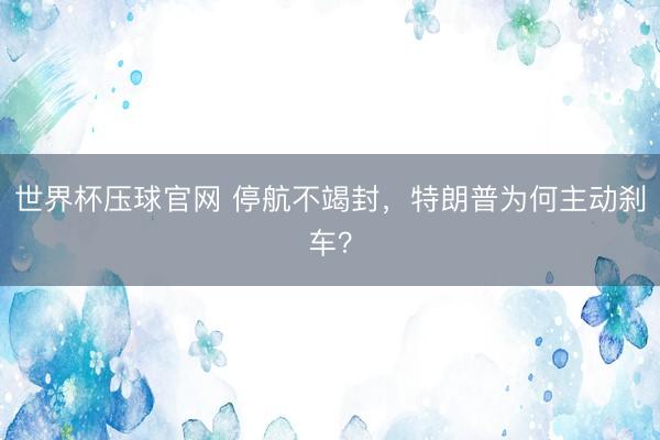 世界杯压球官网 停航不竭封，特朗普为何主动刹车？