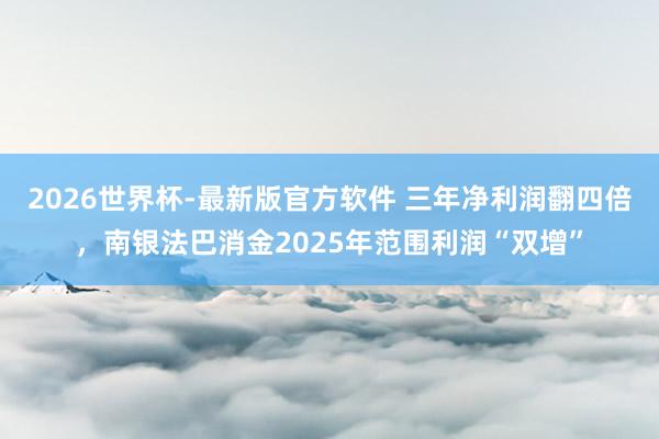 2026世界杯-最新版官方软件 三年净利润翻四倍，南银法巴消金2025年范围利润“双增”
