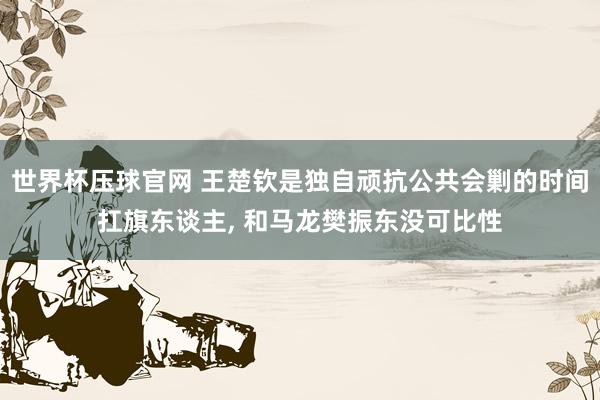 世界杯压球官网 王楚钦是独自顽抗公共会剿的时间扛旗东谈主， 和马龙樊振东没可比性